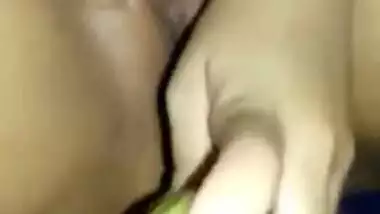 There are no sex toys and the Desi man offers the wife to use veggies
