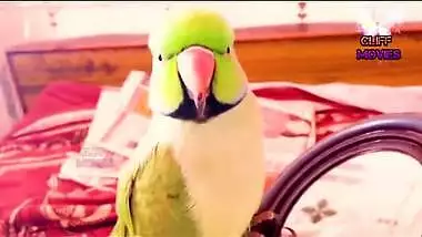 Cute Indian XXX girl have a hardcore sex with her daddy