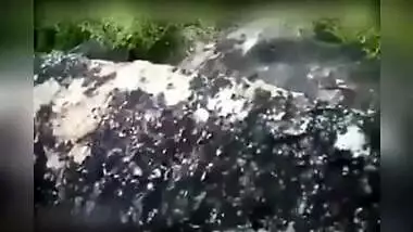 Outdoor fucking a neighbor's indian wife while her husband is at work, Desi MMs